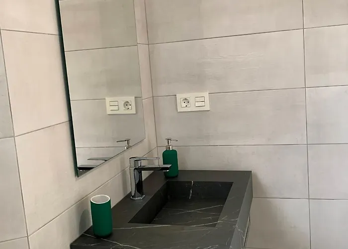 Bpirineos-salenques *